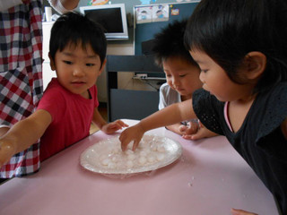 Dscn1343 Dscn1343